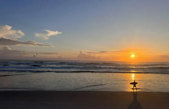 ebdf183a d7da 4ab6 b991 1de962597689