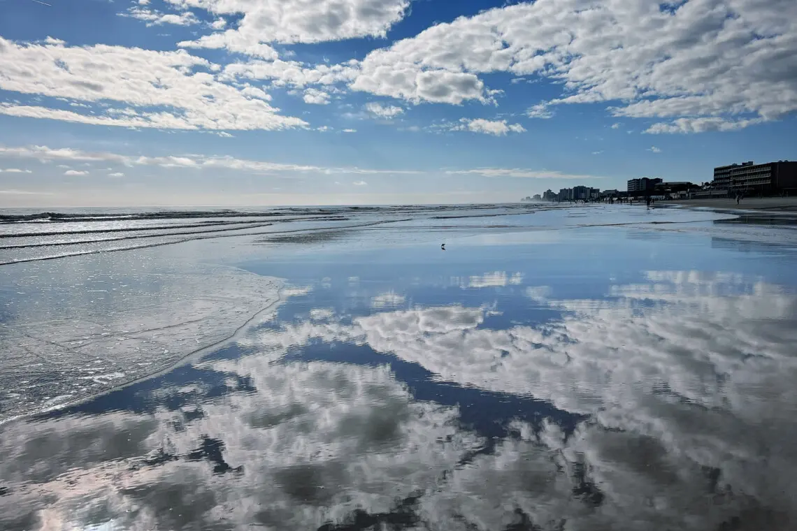 28b9e6c9 7363 459a 9bca cf5927a27d42