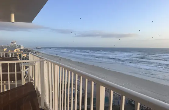 2ff00a8a 68d3 4b40 a16e 4c988fe1b040