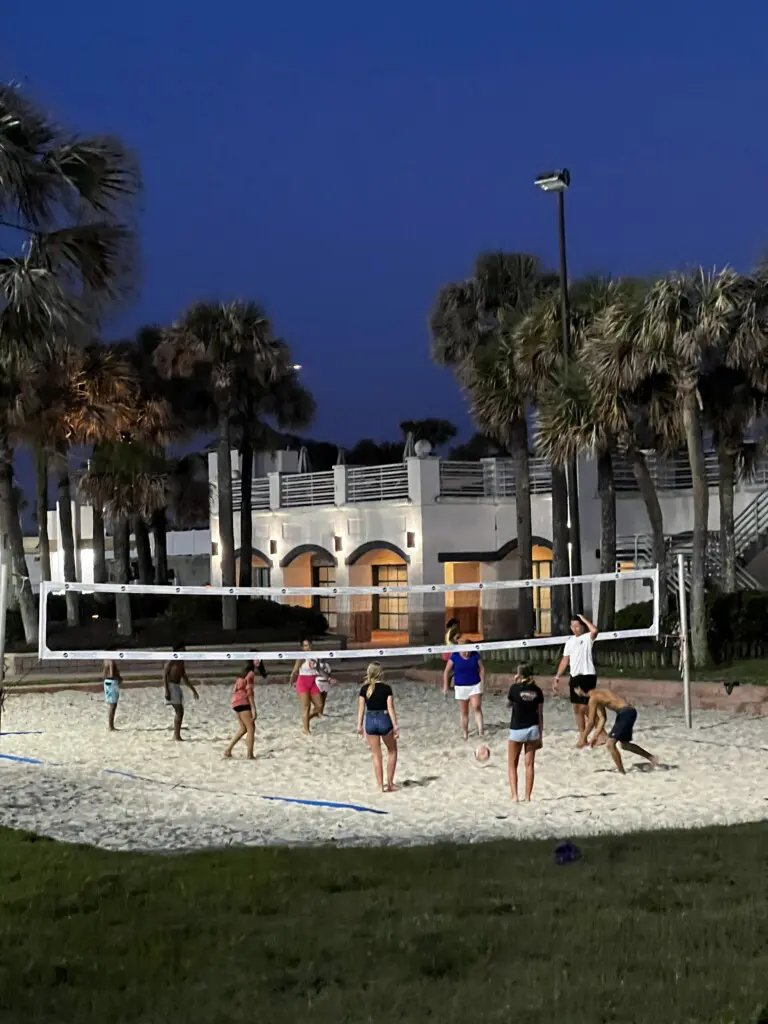 d68d4191 3214 495c 87a8 2f01ec4ee2c2