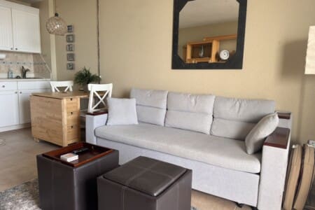 pull out sofa for extra sleeping
