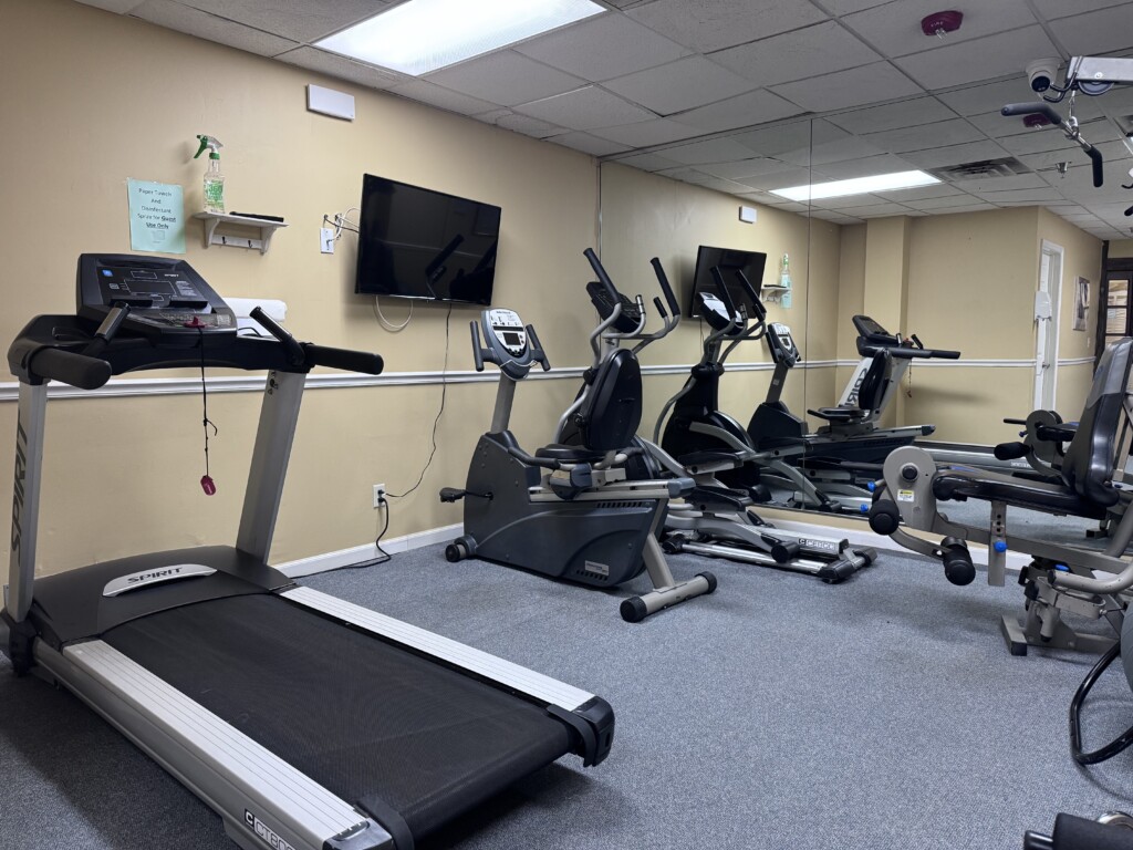 simple gym to get a little routine workout in