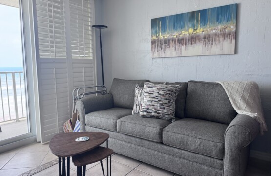 Nice new pull out queen couch.