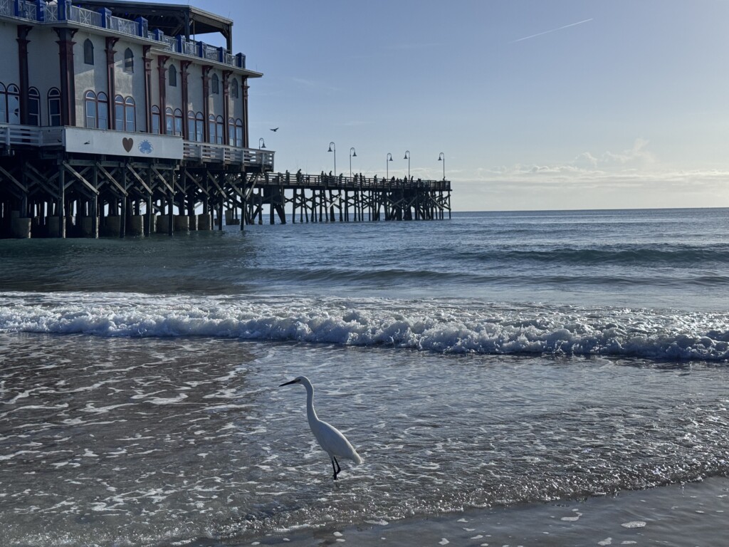 short walk to the pier, bird watching and listening the the waves, you can't beat it